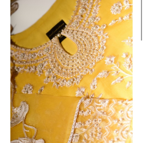 Agha Noor Pure Organza 3 piece Kameez/pant dupatta/stole -Pakistani designer - Picture 2 of 6